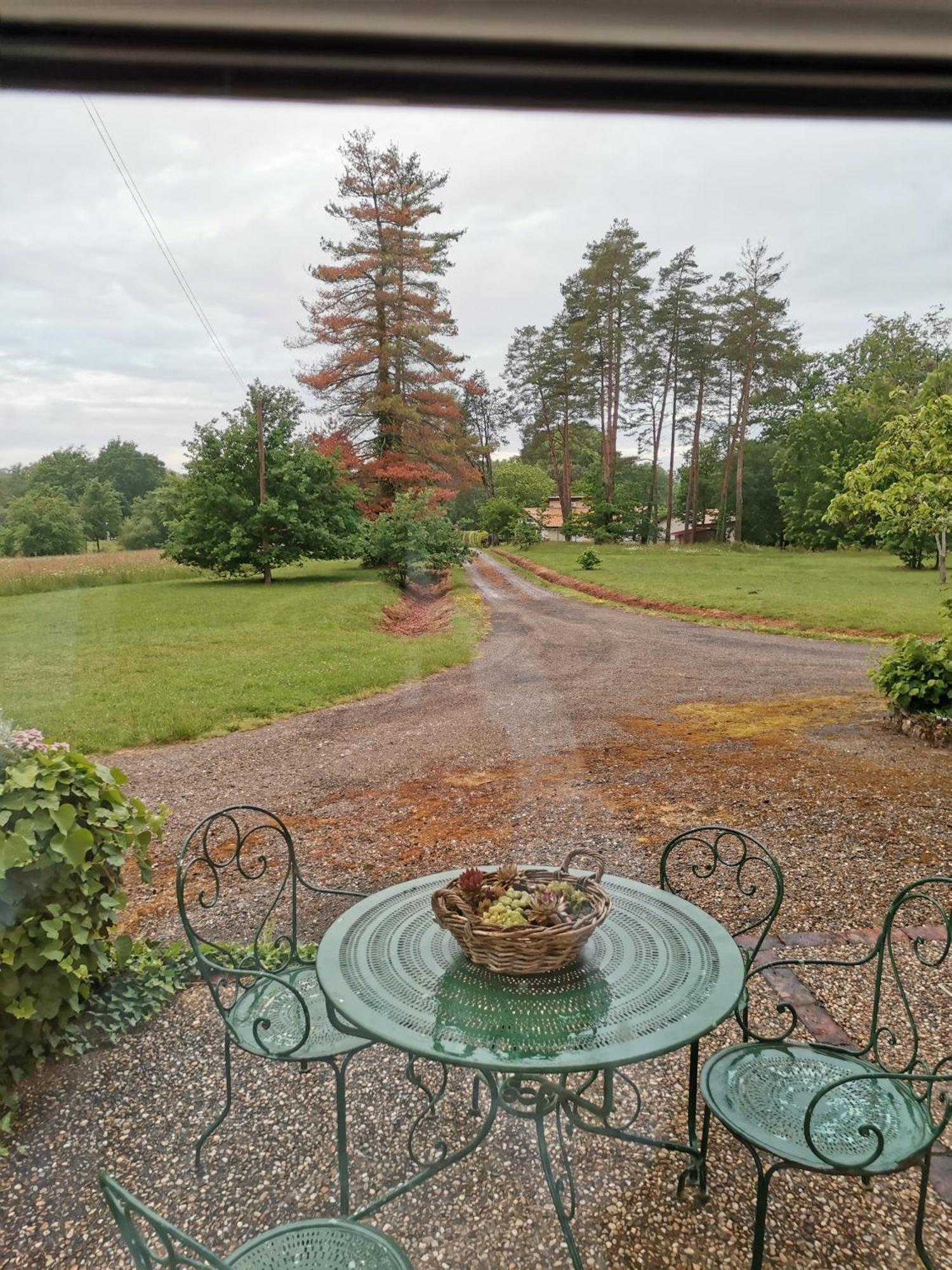 Bed and Breakfast Castel La Bergerie Laglorieuse Zewnętrze zdjęcie